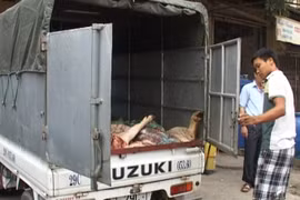 Kinh hoàng thịt lợn bệnh "biến" thành ruốc và mắm tép