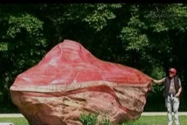 Tranh chấp xoay quanh quyền sở hữu viên đá hồng 