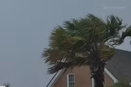 Mỹ: Bão Debby tàn phá tại bang Florida