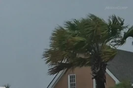 Mỹ: Bão Debby tàn phá tại bang Florida