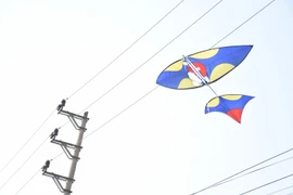 EVNHANOI khuyến cáo về nguy cơ điện giật, cháy nổ, tai nạn do thả diều gần đường dây điện, trạm điện