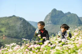 Vinamilk và Quỹ sữa Vươn cao Việt Nam tiếp tục hành trình trao sữa cho trẻ em tại 26 tỉnh thành trong năm thứ 14