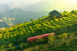 Đến Sun World Fansipan Legend chiêm ngưỡng thiên đường hoa đẹp như mơ