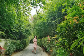 Sầm Sơn đang là điểm đến ‘hot’ nhất hè này: Âm nhạc, pháo hoa sôi động và loạt combo du lịch giá hời