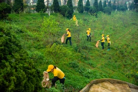 Hơn 600 người hưởng ứng lễ ra quân dọn rác, trồng cây ở Sa Pa