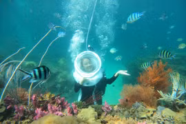 Hòn đảo này đã giúp Việt Nam lọt top điểm lặn biển tuyệt vời nhất châu Á