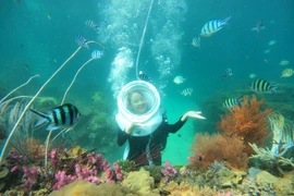 Hòn đảo này đã giúp Việt Nam lọt top điểm lặn biển tuyệt vời nhất châu Á