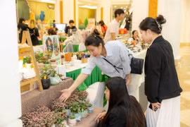 Các nhà bán lẻ tung sáng kiến đặc biệt, thúc đẩy tiêu dùng xanh