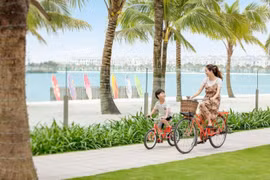 Vinhomes đồng hành cùng chủ sở hữu và khách thuê tại Vinhomes Ocean Park 1 và Vinhomes Grand Park