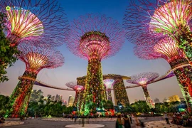 Bí kíp vi vu Singapore mà có thể travel blogger cũng chưa biết