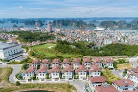 Cơ hội 20 năm có 1: sở hữu biệt thự danh giá tại FLC Grand Villa Halong 