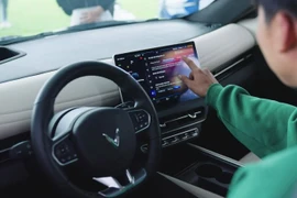 Những khoảnh khắc du xuân 'đáng ghen tị’ của người dùng VinFast khắp mọi miền