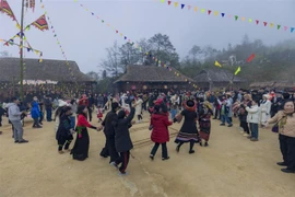 Sa Pa: Miễn phí vé tàu hỏa Mường Hoa cho 5 tỉnh, Fansipan hút khách mùa hoa đào nở rộ