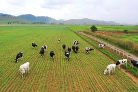 HSBC đánh giá Vinamilk là 1 trong 5 cổ phiếu đáng quan tâm nhất tại Đông Nam Á