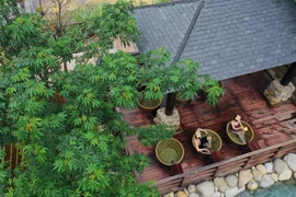 Vì sao người Nhật thích tắm onsen cả trong mùa hè?