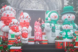 Mùa đông đầy màu sắc trên đỉnh Bà Nà ‘hút hồn’ du khách