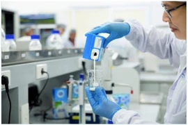 Vươn lên top 4, điều gì giúp Cô Gái Hà Lan giữ thứ hạng cao trong các tập đoàn dinh dưỡng toàn cầu? 