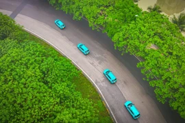 Chiến lược tổng lực 'phủ xanh' Việt Nam của GSM truyền cảm hứng cho cộng đồng