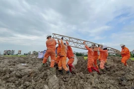 Nỗ lực của những người Thợ điện Thủ đô vì tiến độ của đường dây 500kV mạch 3