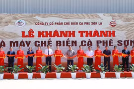 WinCommerce đồng hành cùng tỉnh Sơn La phát triển nguồn cung cà phê bền vững