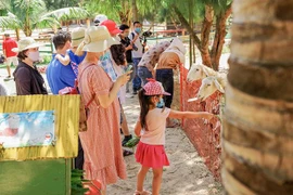 Bình Định đón hơn 155 nghìn lượt khách dịp Tết, tăng 40% so với cùng kỳ