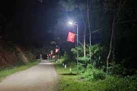 Hành trình hàng nghìn ‘chiến sĩ’ Mùa hè xanh mang ánh sáng đến miền xa