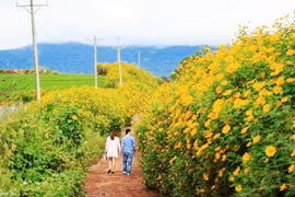 Lên rừng hay xuống biển hậu Covid – 19: Cơ hội hiếm có cho những điểm đến mới 