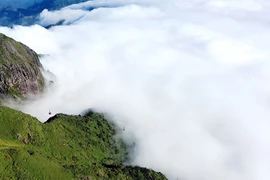 Nhất định phải đưa nàng đến Sa Pa ngày 20/10 này, mây Fansipan chưa bao giờ đẹp đến thế