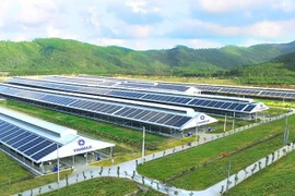 Vinamilk nhập khẩu hơn 2.100 bò sữa HF thuần chủng từ Mỹ về trang trại mới tại Quảng Ngãi