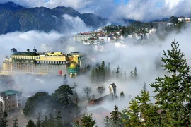 Mây Fansipan "ngập tràn cõi mạng" kéo du khách đổ lên Sa Pa