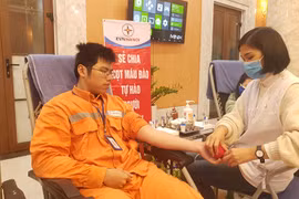 Ngành điện Thủ đô hướng về miền Trung trong tháng tri ân khách hàng