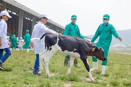 Quỹ sữa Vươn cao Việt Nam và Vinamilk dành nhiều món quà đặc biệt cho trẻ em nhân 15 năm thành lập