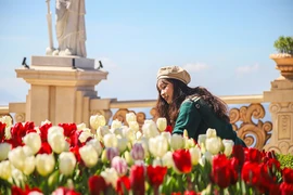 Thú vị trải nghiệm 3 ‘săn’ tại đỉnh Bà Nà