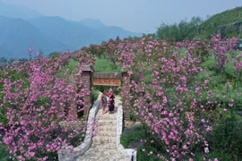 Ngày hội Sa Pa tại Hà Nội: Sun World Fansipan Legend tặng hàng trăm vé cáp treo, tàu hỏa leo núi