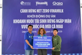 Nhân viên Vinamilk cùng tham gia tái sinh ‘25ha rừng ngập mặn Vườn quốc gia Mũi Cà Mau’, hướng đến Net Zero