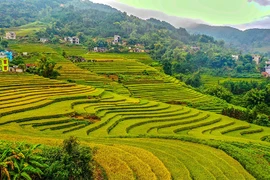 Chỉ từ 69.000 đồng bay TP. HCM– Vân Đồn: Thỏa sức khám phá Quảng Ninh