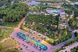 Đại ưu đãi mừng tri ân – cơ hội nghỉ dưỡng dịp đầu năm tại resort được yêu thích nhất