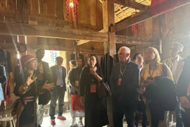 Đoàn đại sứ và doanh nghiệp quốc tế khám phá Fansipan