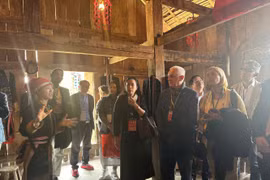 Đoàn đại sứ và doanh nghiệp quốc tế khám phá Fansipan