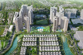 Kênh đầu tư nào được quan tâm trong năm Quý Mão 2023