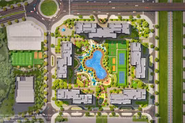 Giải mã lý do The Miami được săn đón đặc biệt ngay khi ra mắt