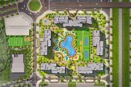 Giải mã lý do The Miami được săn đón đặc biệt ngay khi ra mắt