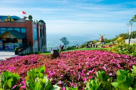 ‘Núi Bà Đen’ thành từ khoá hot với hàng triệu lượt tìm kiếm trên Google mỗi tháng