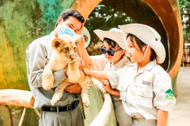 Siêu hot trải nghiệm ‘nhập vai bảo mẫu nhí’ cực hút khách tại Vinpearl Safari