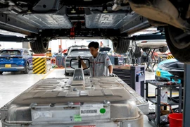 Chuyên gia: ‘Những doanh nghiệp như Vingroup là đầu tàu thúc đẩy chuyển đổi xanh’