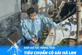 Bí quyết thành công của Cô Gái Hà Lan tại Việt Nam