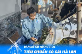 Bí quyết thành công của Cô Gái Hà Lan tại Việt Nam