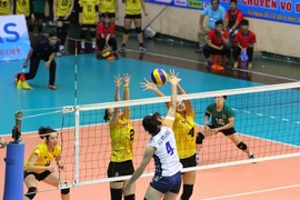 Đội bóng chuyền giàu thành tích nhất Việt Nam sắp về với FLC?