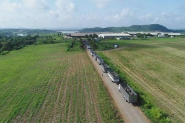 Vững đà tăng trưởng, TH true MILK đón đàn bò sữa cao sản nhập khẩu đầu tiên trong năm 2021