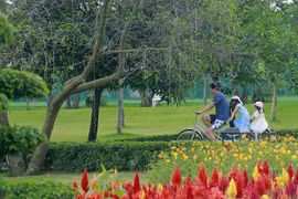 Bí kíp nghỉ lễ thảnh thơi: ghi sổ lịch trình ‘refresh’ tại miền xanh Vĩnh Phúc